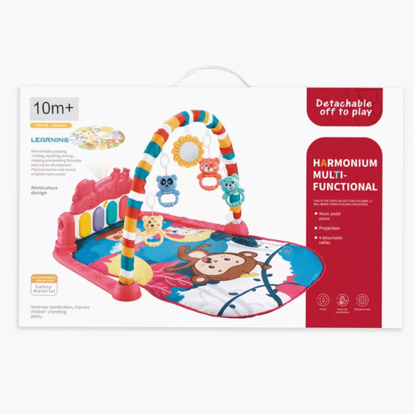 Baby Play Gym Harmonium Multi-Functional 0+