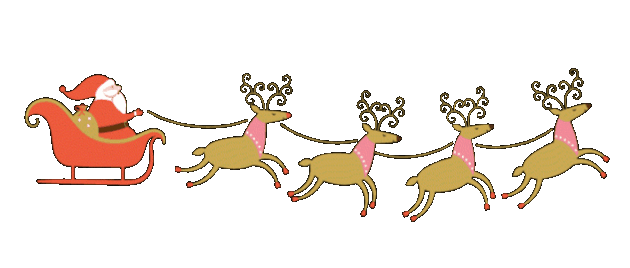 Santa Sleigh